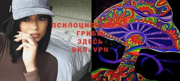 эйфоретик Алексин