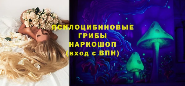 круглые Рославль